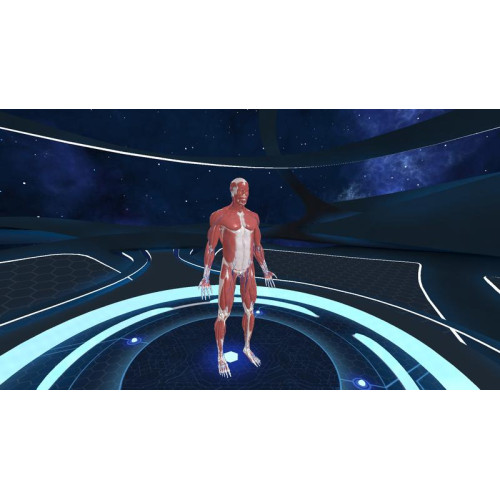 Human Anatomy VR