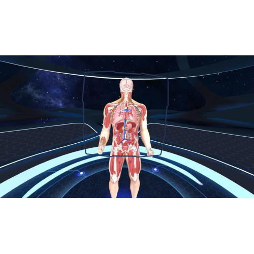 Human Anatomy VR