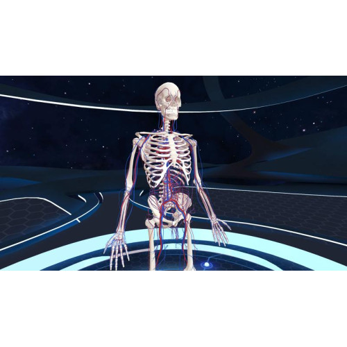 Human Anatomy VR