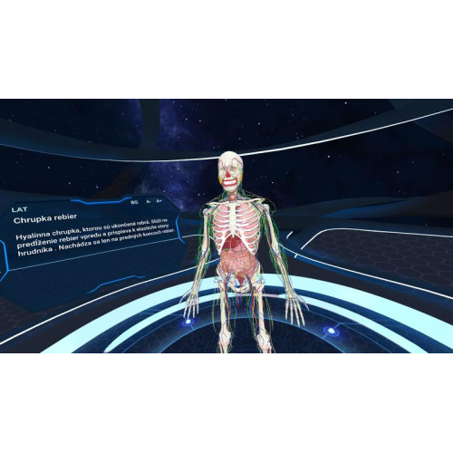 Human Anatomy VR