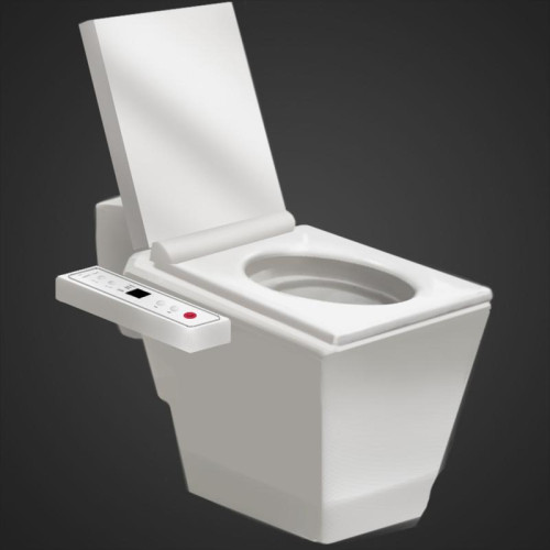 Cook, Serve, Delicious! 2!! Fancy Toilet Avatar