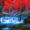 Brain Breaker Nature Sakura Jungle Waterfall Dynamic Theme