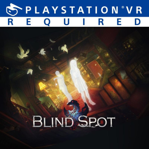 Blind Spot