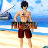 FAIRY TAIL: Gray's Costume Special Swimsuit