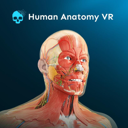 Human Anatomy VR