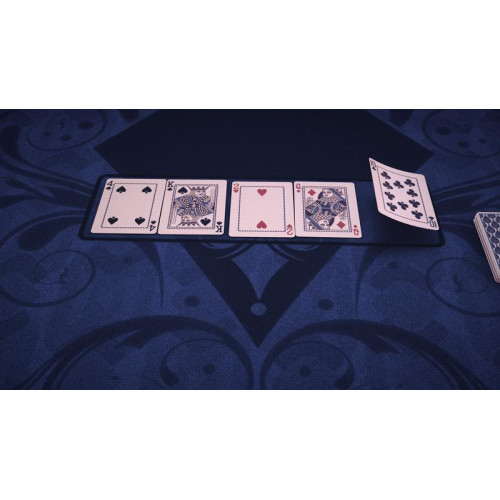 Pure Hold'em Kuş Tüyü kart destesi