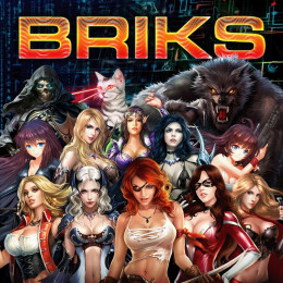 BRIKS