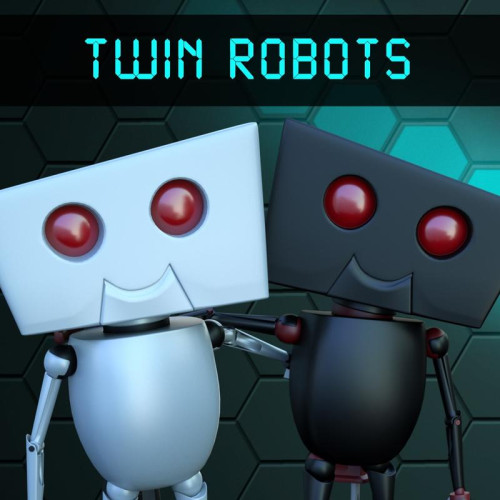 Twin Robots