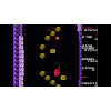 Arcade Archives RADICAL RADIAL