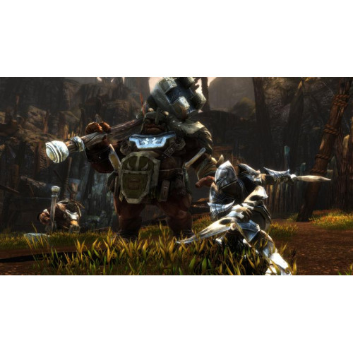 Kingdoms of Amalur: Re-Reckoning - Fate Edition