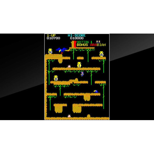 Arcade Archives ARABIAN