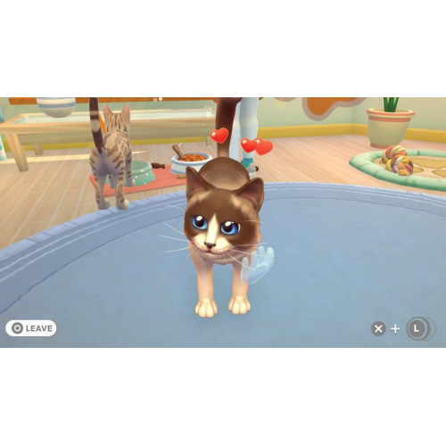 My Universe - Pet Clinic Cats and Dogs