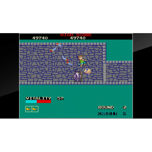 Arcade Archives DRAGON BUSTER