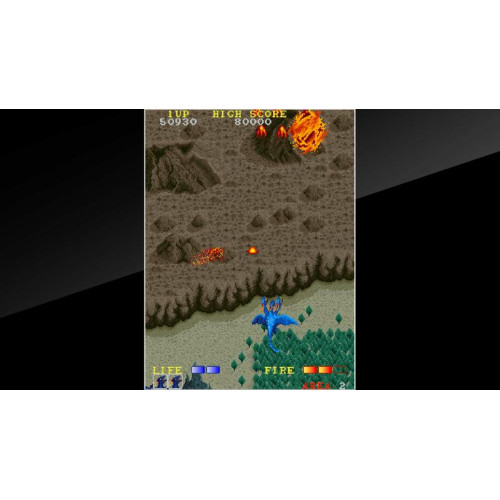 Arcade Archives DRAGON SPIRIT