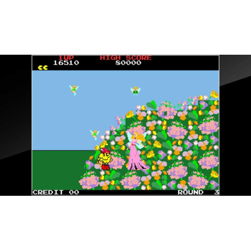 Arcade Archives PAC-LAND