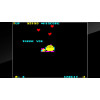 Arcade Archives Chack'n Pop