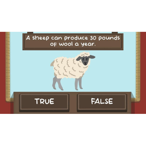 The Sheep Quiz