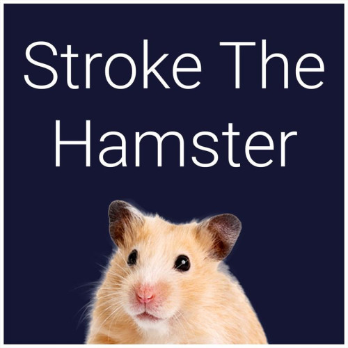 Hamster'ı İnme