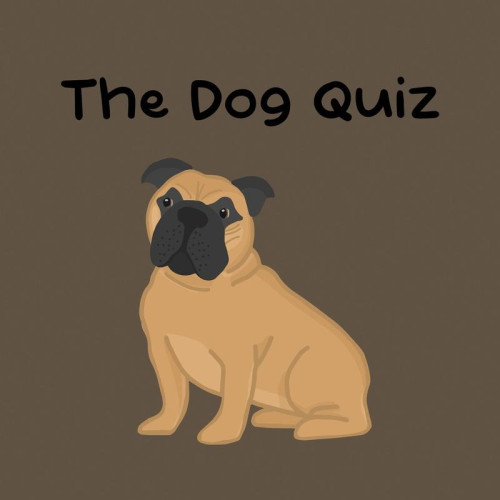 The Dog Quiz