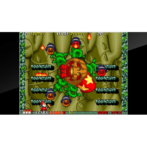 Arcade Archives DON DOKO DON