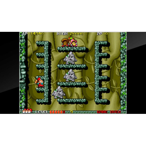 Arcade Archives DON DOKO DON