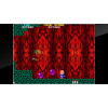 Arcade Archives BONZE ADVENTURE