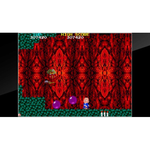 Arcade Archives BONZE ADVENTURE