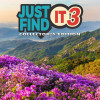 Just Find It 3 Collector's Edition