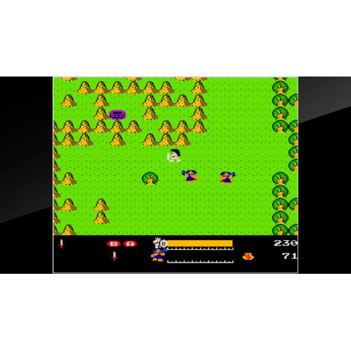 Arcade Archives VS. THE ADVENTURE OF VALKYRIE : The Legend of the Key of Time