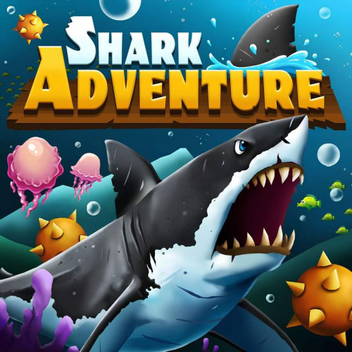 Shark Adventure