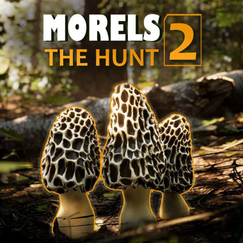 Morels The Hunt 2