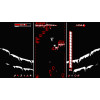 Downwell